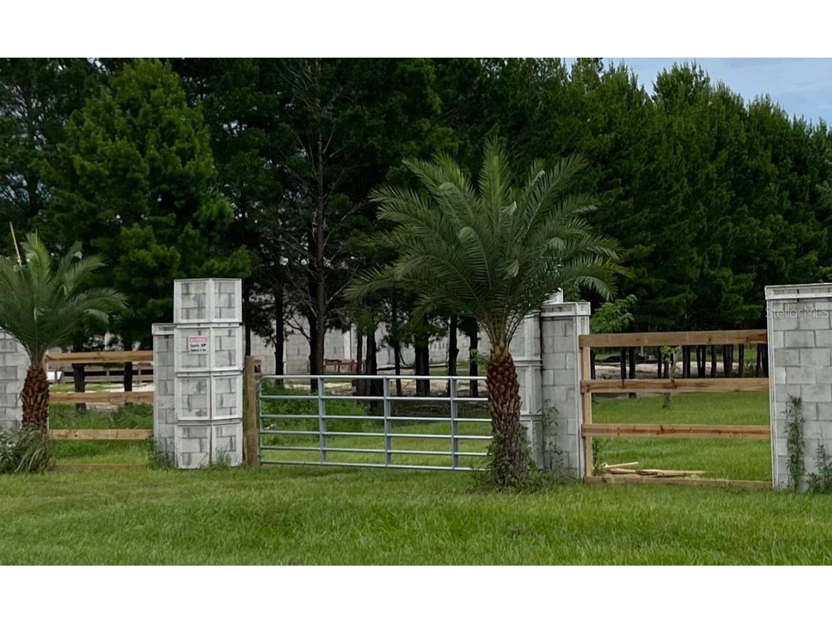 Tree Frog Lane Eustis FL 32736 O6108294 image1