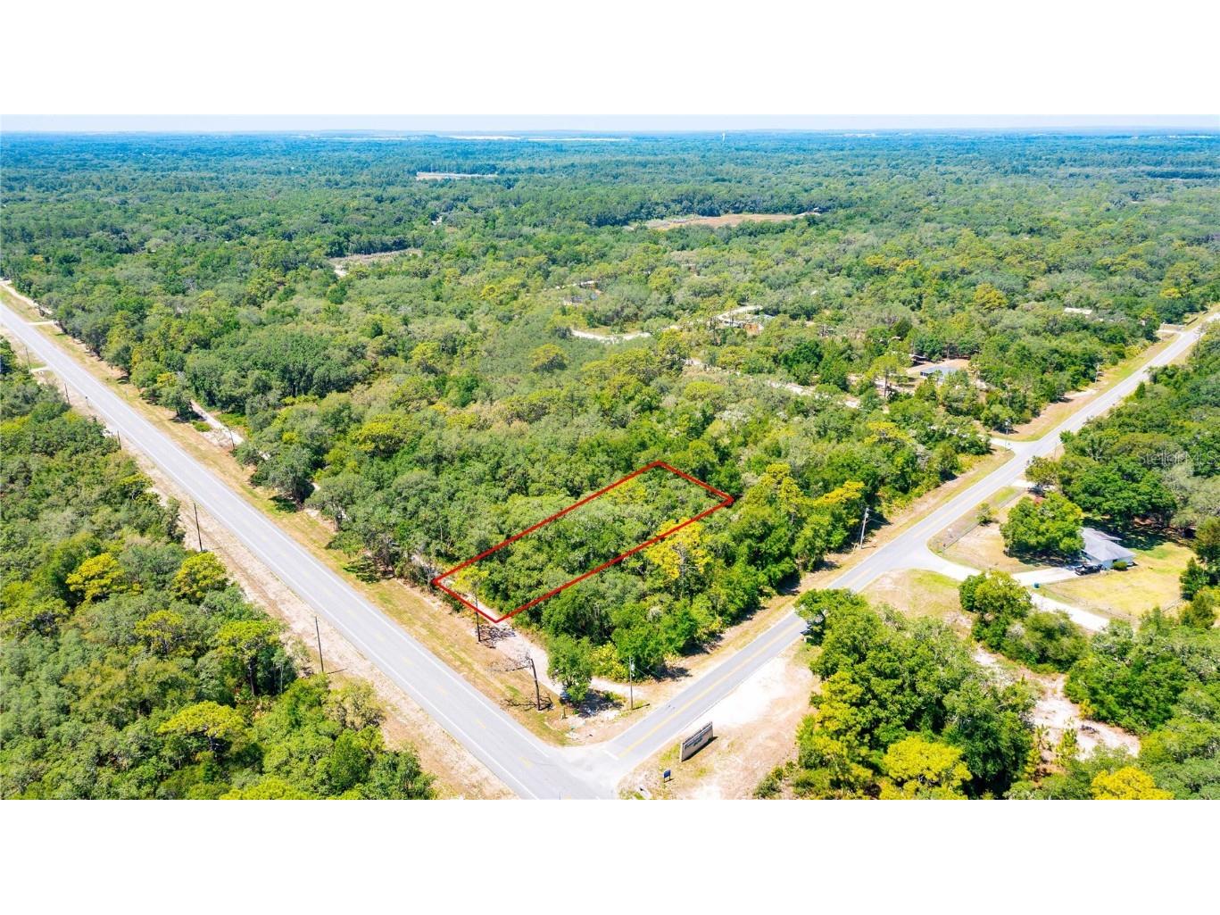 Treiman Blvd. Webster FL 33597 G5069102 image1