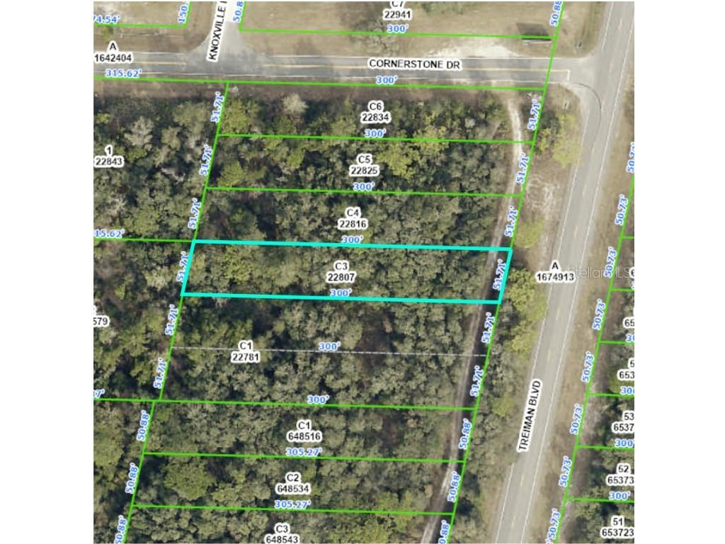 Treiman Boulevard Ridge Manor Estates FL 33597 U8234075 image1