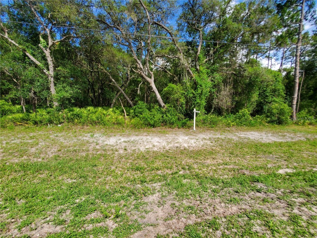 Treiman Boulevard Webster FL 33597 T3447685 image1