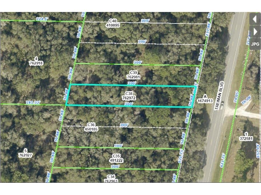 Treiman Boulevard Webster FL 33597 O6235388 image1