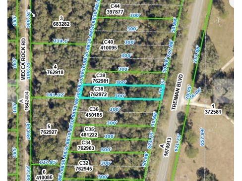 Treiman Boulevard Webster FL 33597 O6235388 image2