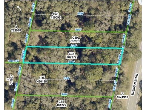 Treiman Boulevard Webster FL 33597 O6235388 image3