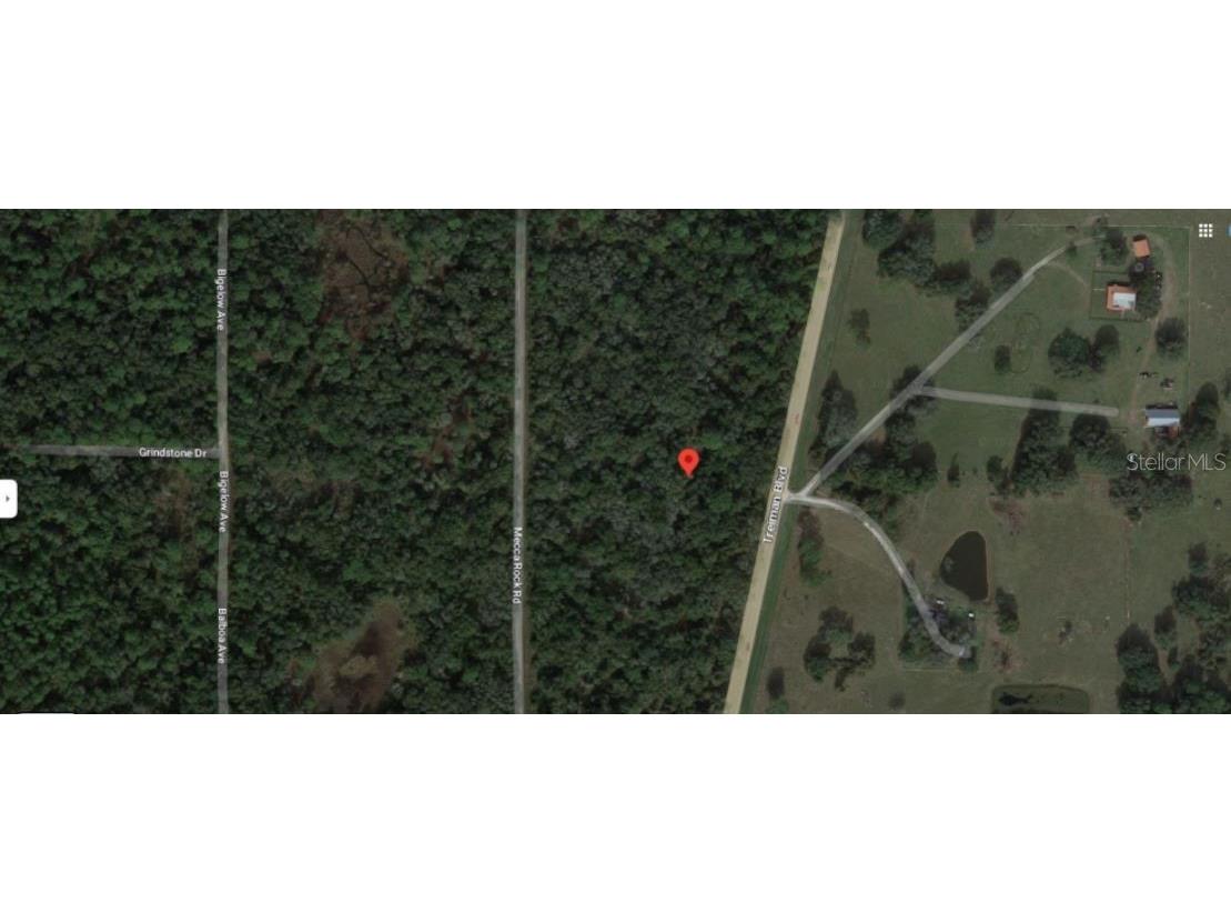 Treiman Boulevard Webster FL 33597 O6235388 image4