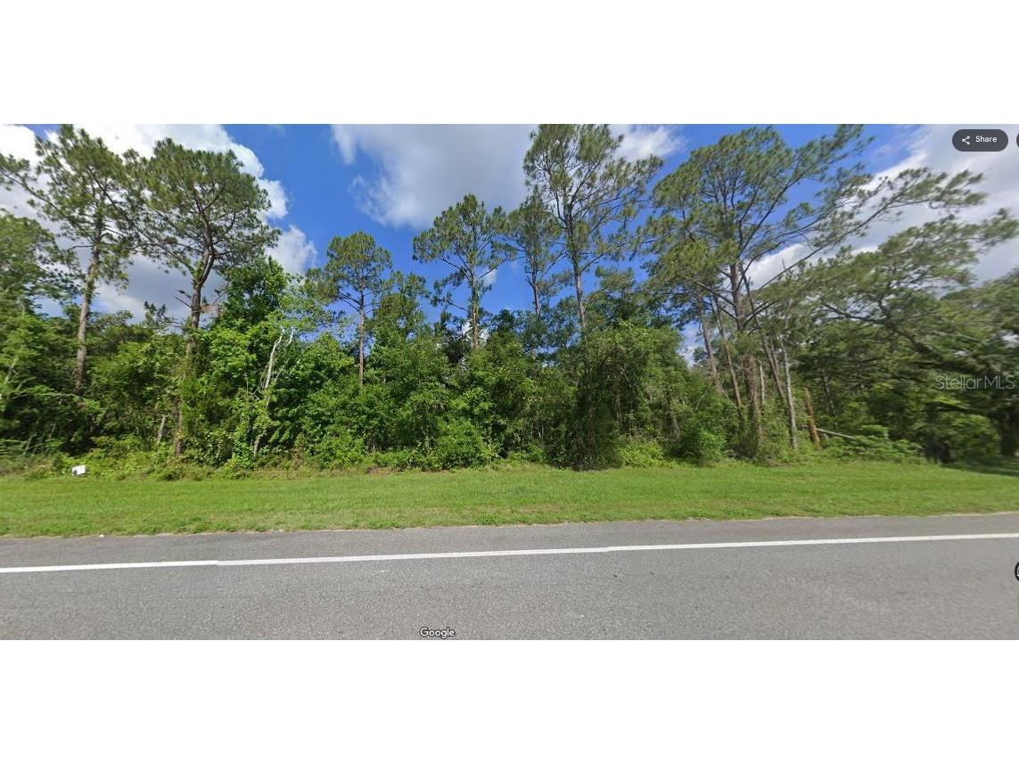 Treiman Boulevard Webster FL 33597 O6235388 image6