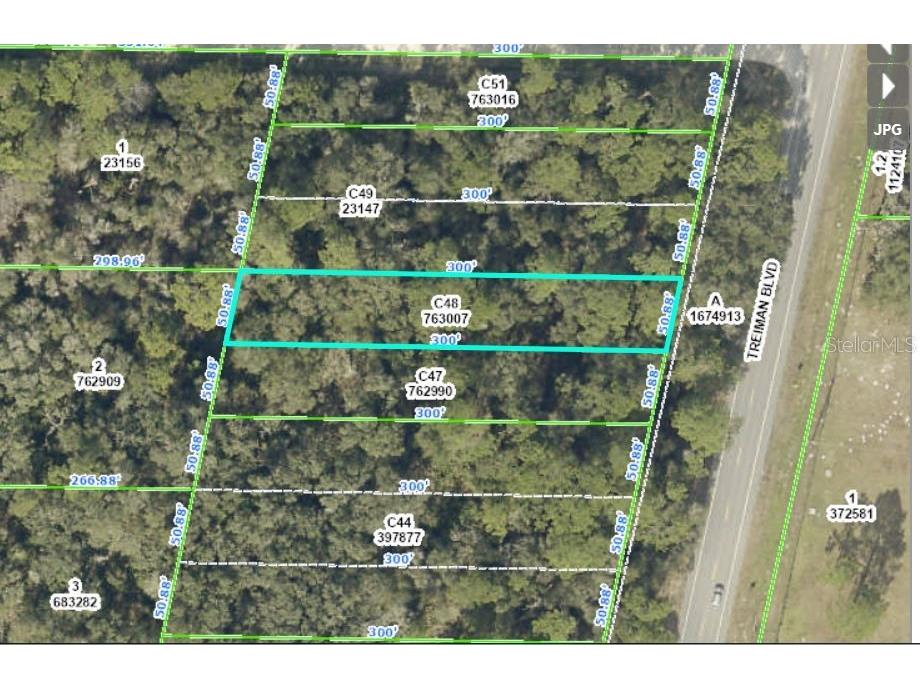Treiman Boulevard Webster FL 33597 O6235389 image1