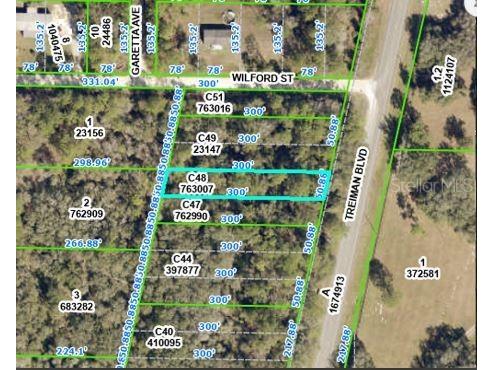 Treiman Boulevard Webster FL 33597 O6235389 image2