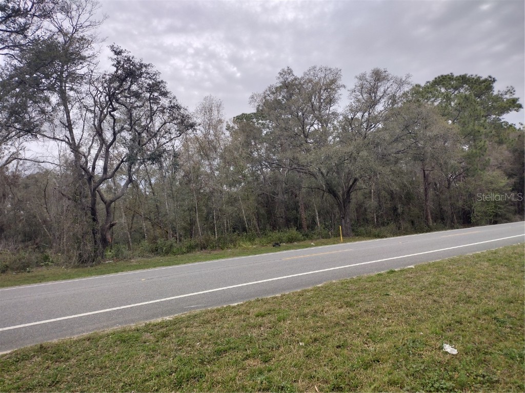 Treiman Boulevard Webster FL 33597 TB8352779 image3