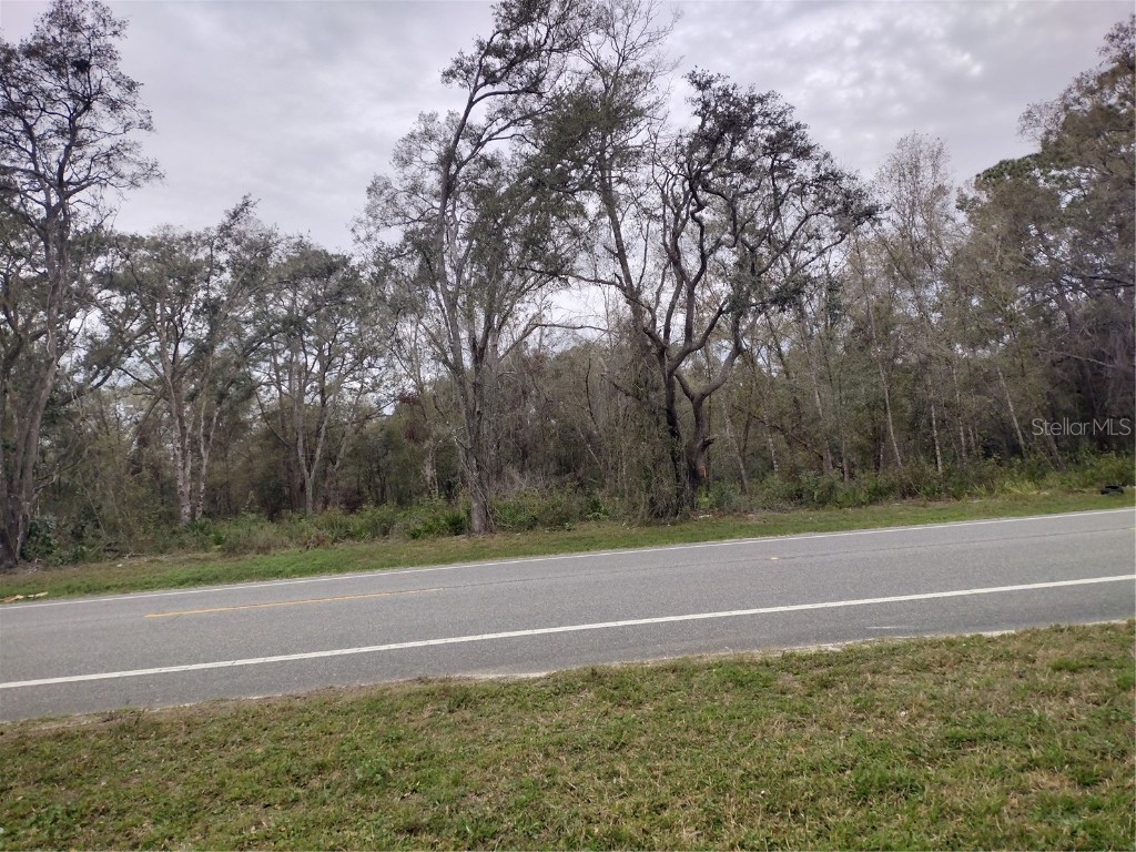 Treiman Boulevard Webster FL 33597 TB8352779 image4