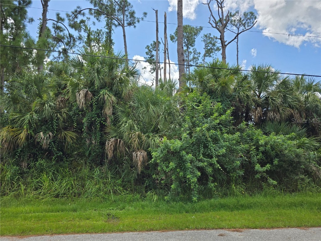 Trentwood Lane North Port FL 34286 N6140347 image4