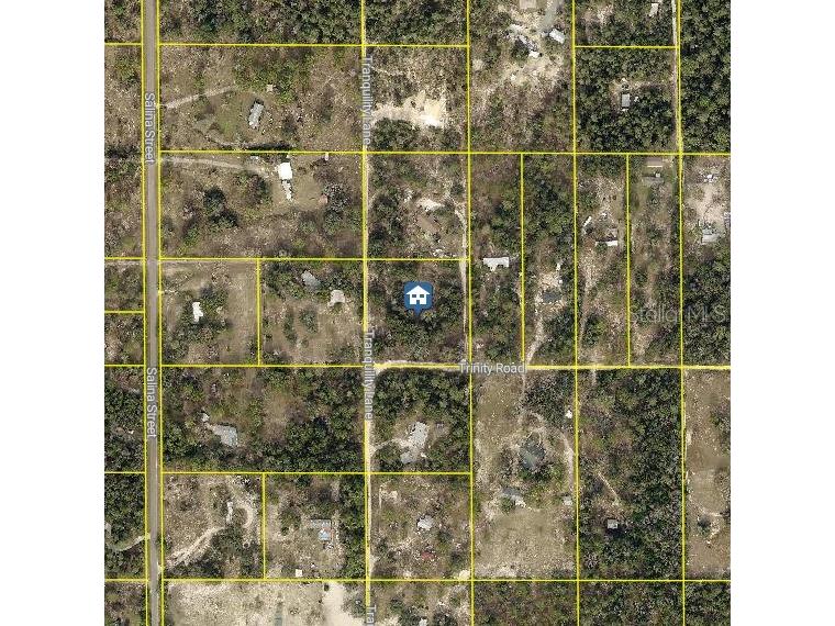 Trinity Road Brooksville FL 34614 W7885815 image2