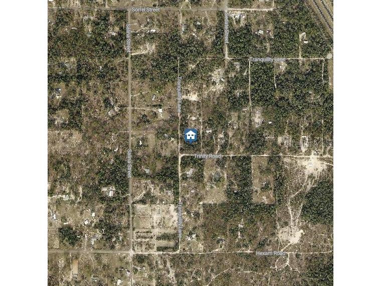 Trinity Road Brooksville FL 34614 W7885815 image3