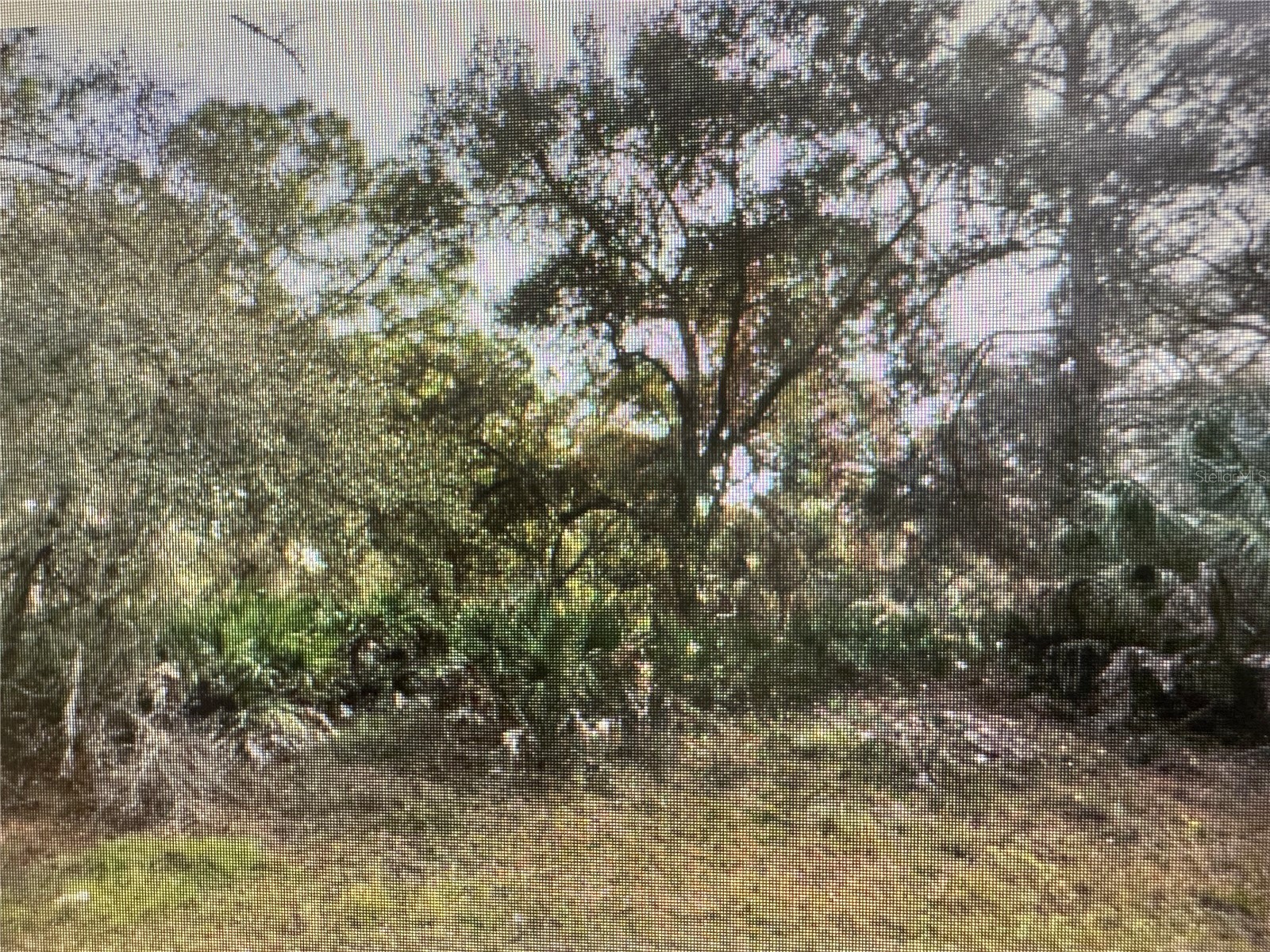 Trolley Road North Port FL 34291 C7525722 image2