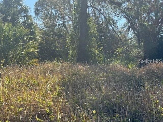 Troost Street North Port FL 34288 A4679620 image6