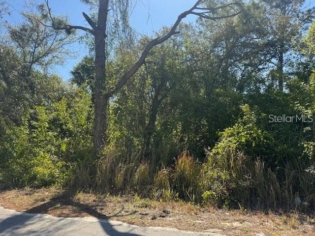 Troost Street North Port FL 34288 A4679620 image8