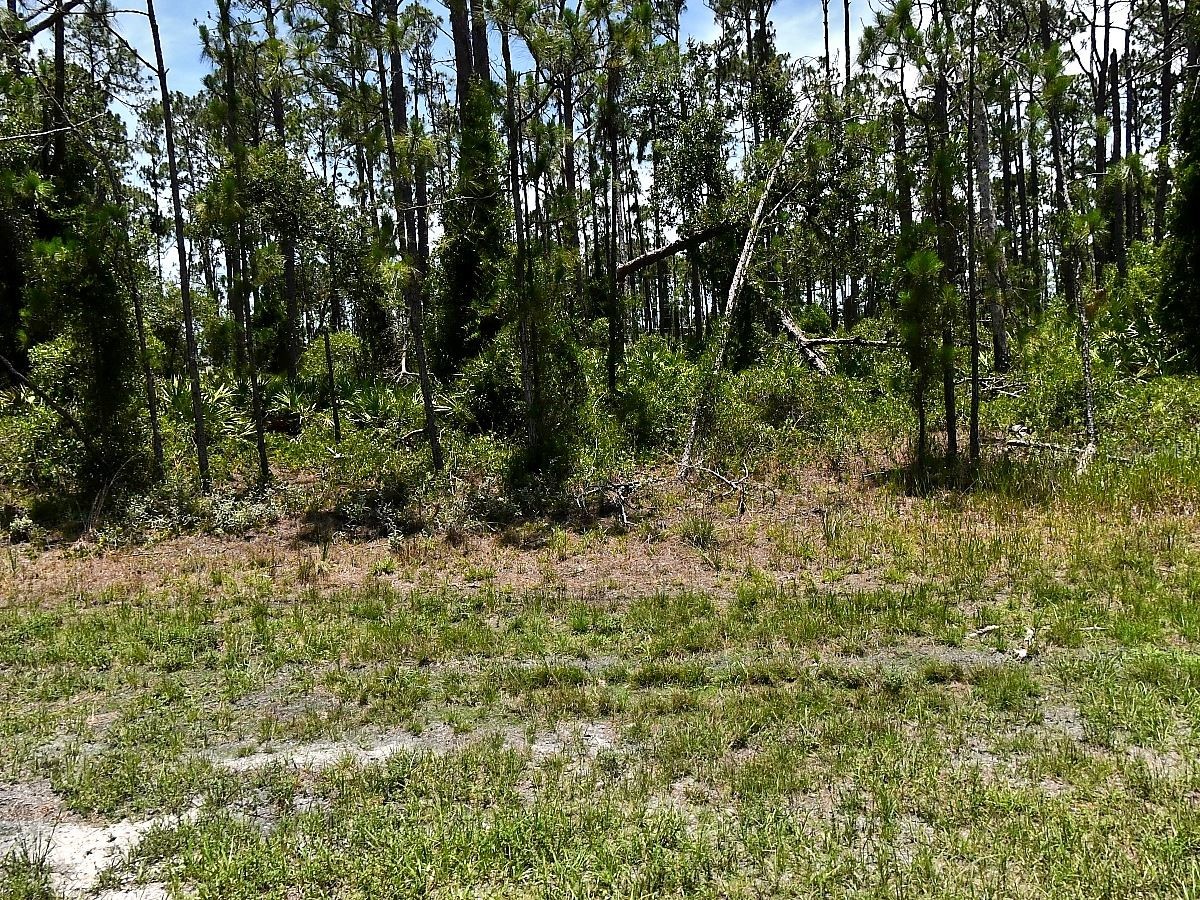 Tropicaire Boulevard North Port FL 34291 O6417632 image1