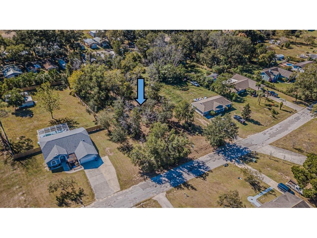 Trotter Lane Dade City FL 33525 TB8441755 image1