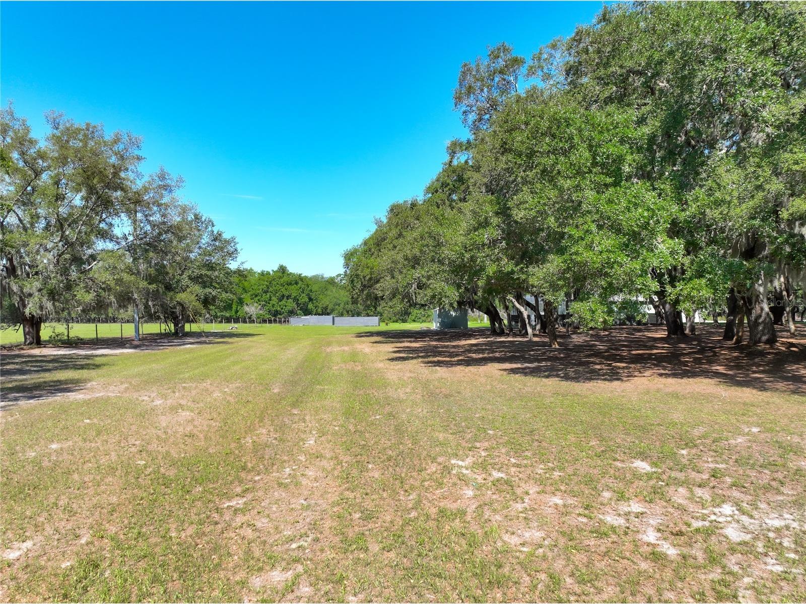 Trotting Horse Lane Tavares FL 32778 G5112598 image10