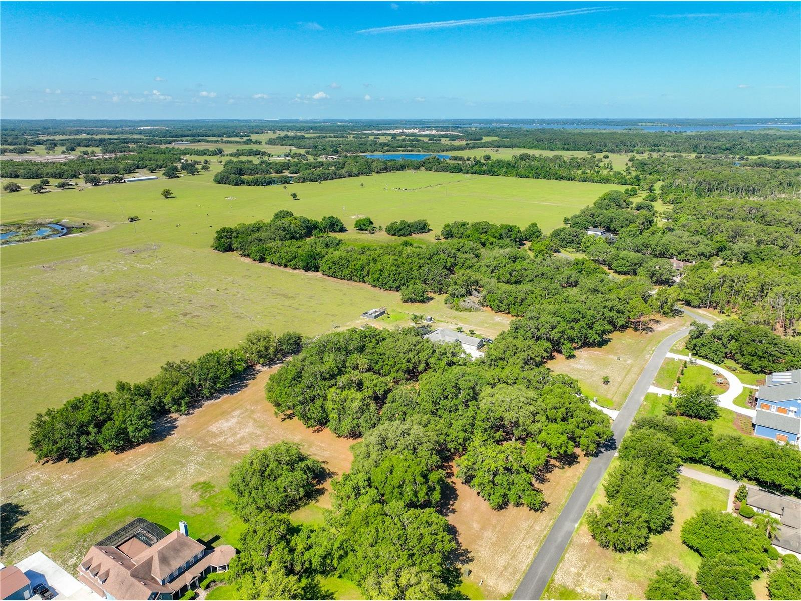 Trotting Horse Lane Tavares FL 32778 G5112598 image11