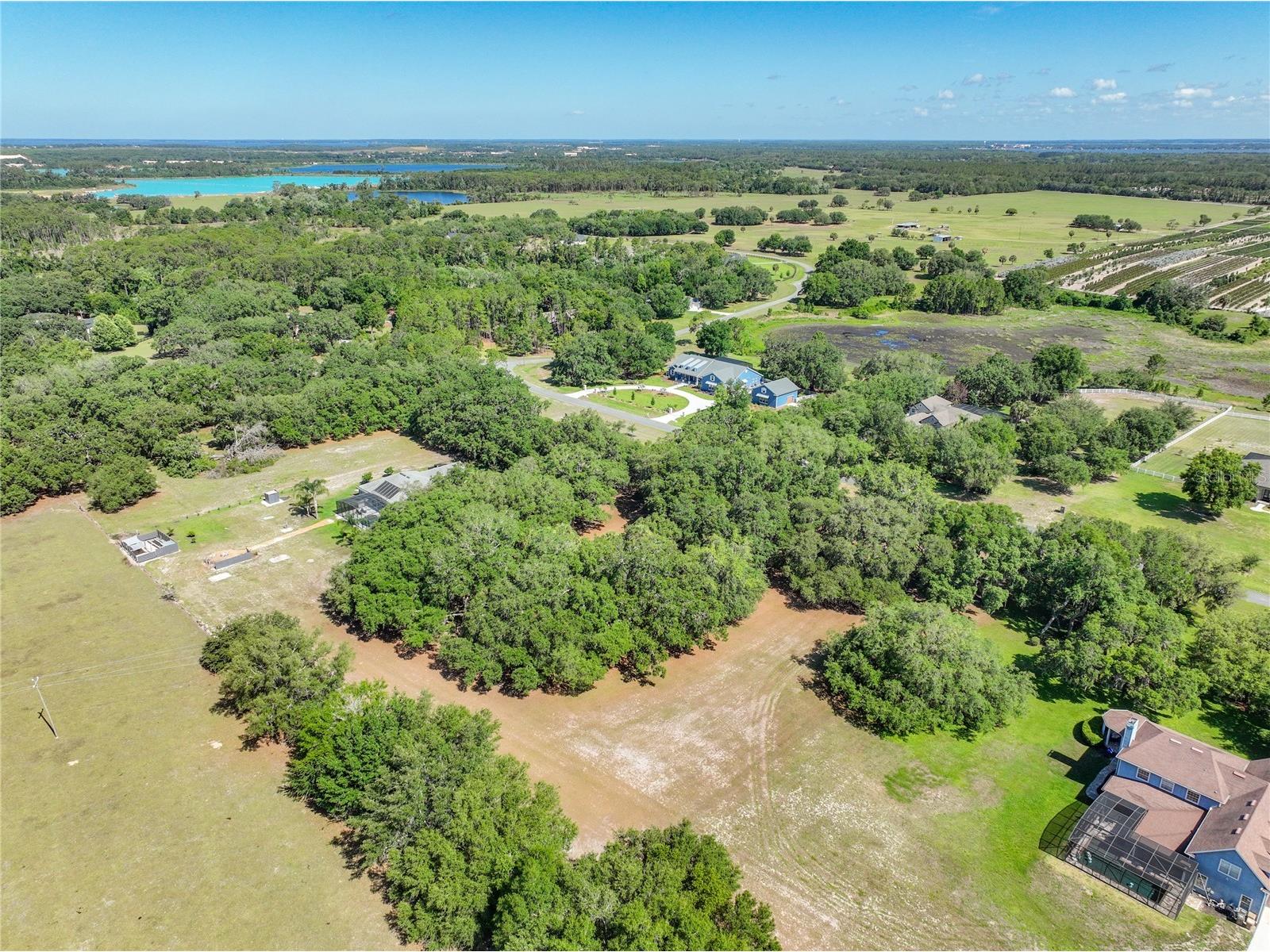 Trotting Horse Lane Tavares FL 32778 G5112598 image15