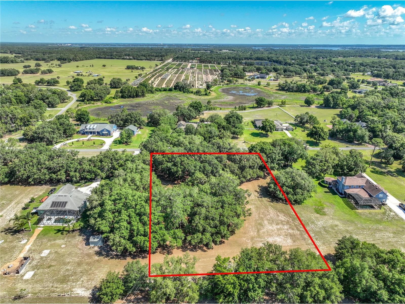 Trotting Horse Lane Tavares FL 32778 G5112598 image2