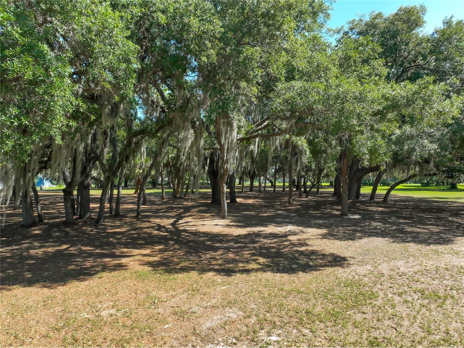 Trotting Horse Lane Tavares FL 32778 G5112598 image9