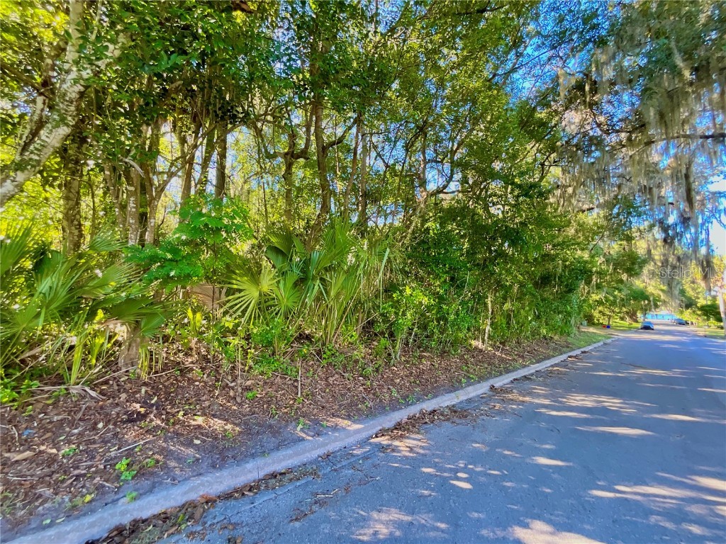 Trout Street Melrose FL 32666 GC534776 image12