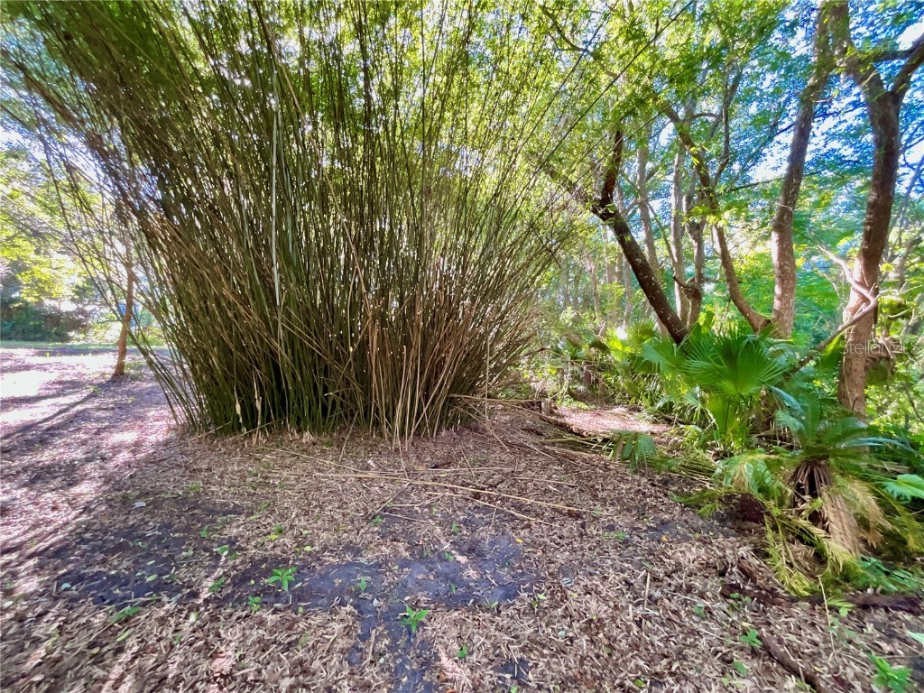 Trout Street Melrose FL 32666 GC534776 image15