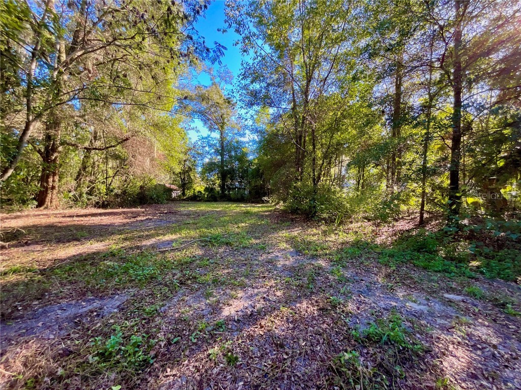 Trout Street Melrose FL 32666 GC534776 image17