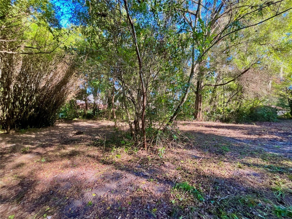 Trout Street Melrose FL 32666 GC534776 image18