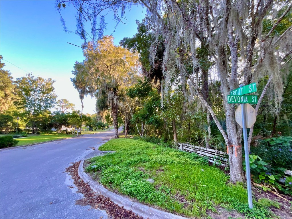 Trout Street Melrose FL 32666 GC534776 image26