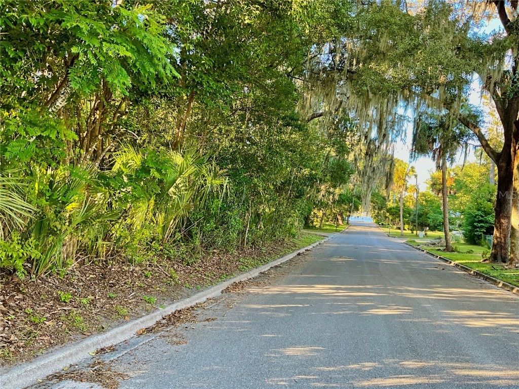 Trout Street Melrose FL 32666 GC534776 image38