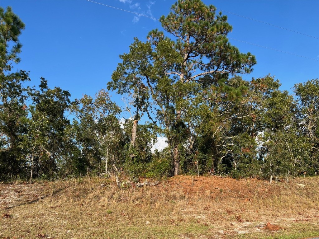 Trumbull Drive Spring Hill FL 34609 W7870055 image1
