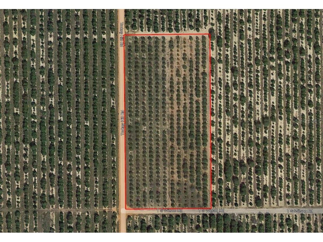 Ts Wilson Road Road Frostproof FL 33843 P4920873 image1