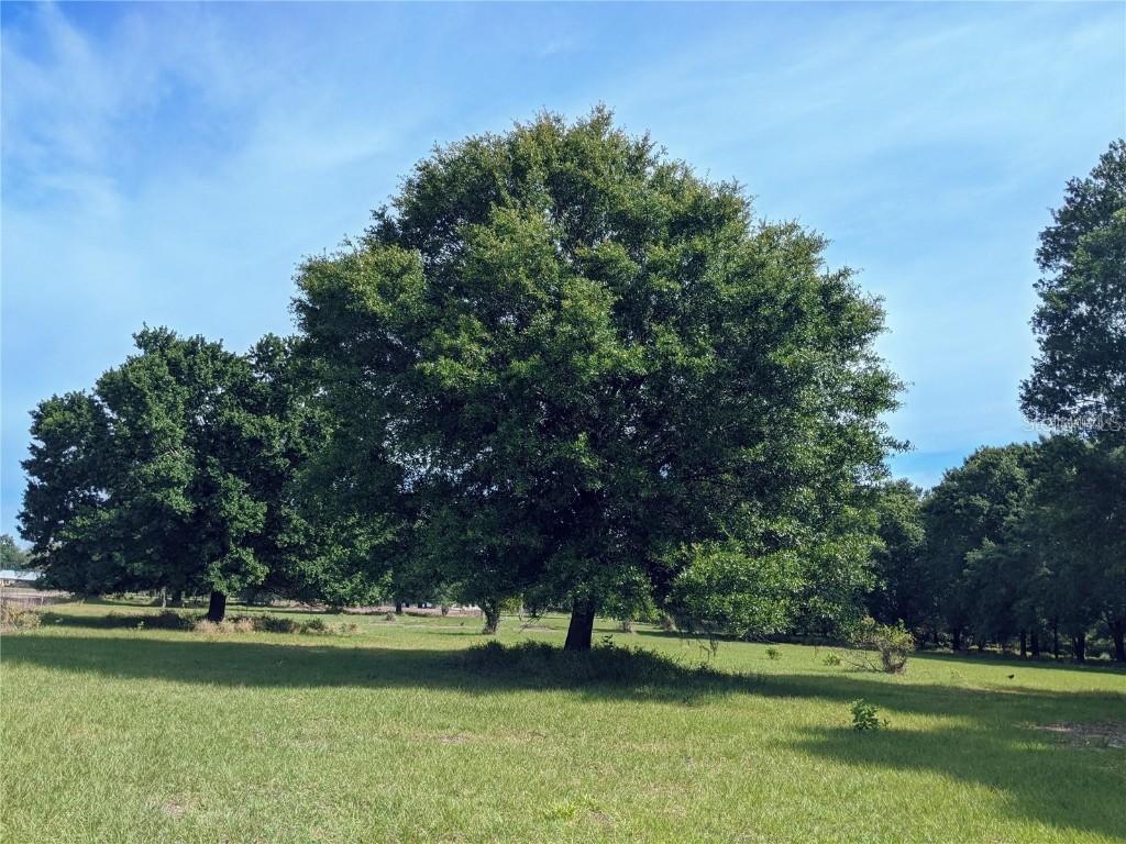 Tucker Avenue Saint Cloud FL 34772 S5118695 image1