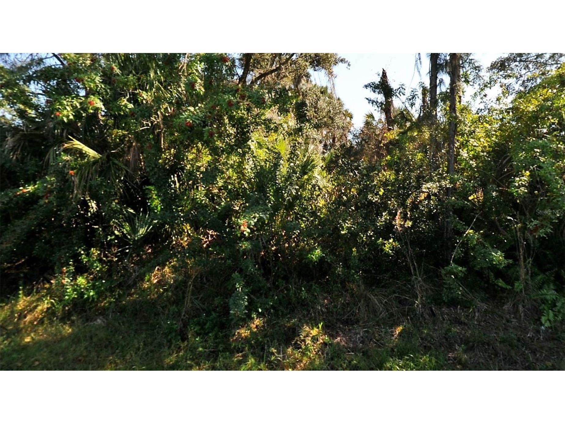 Tucson Road North Port FL 34286 C7524911 image2