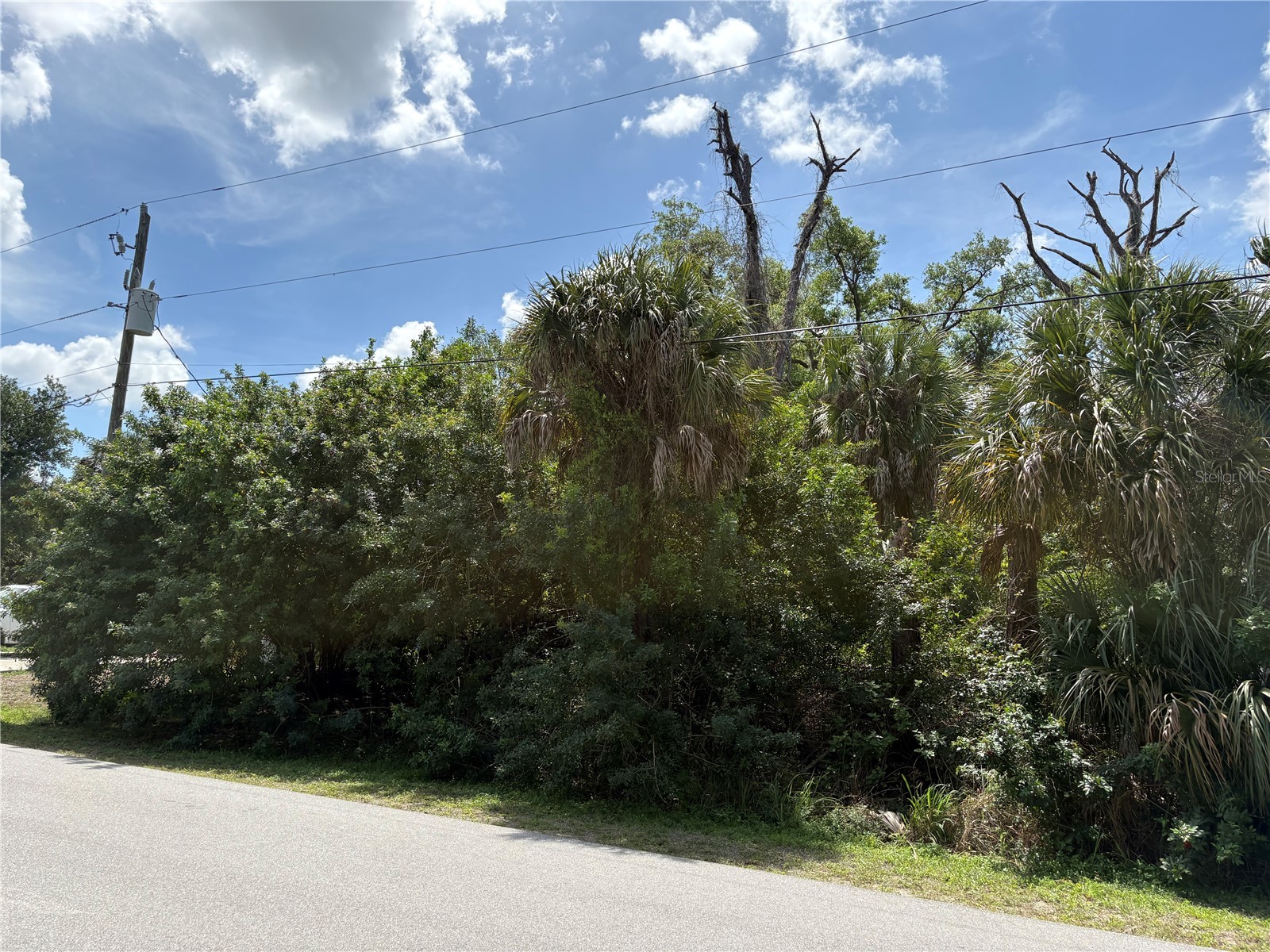 Tucson Road North Port FL 34286 N6143684 image4