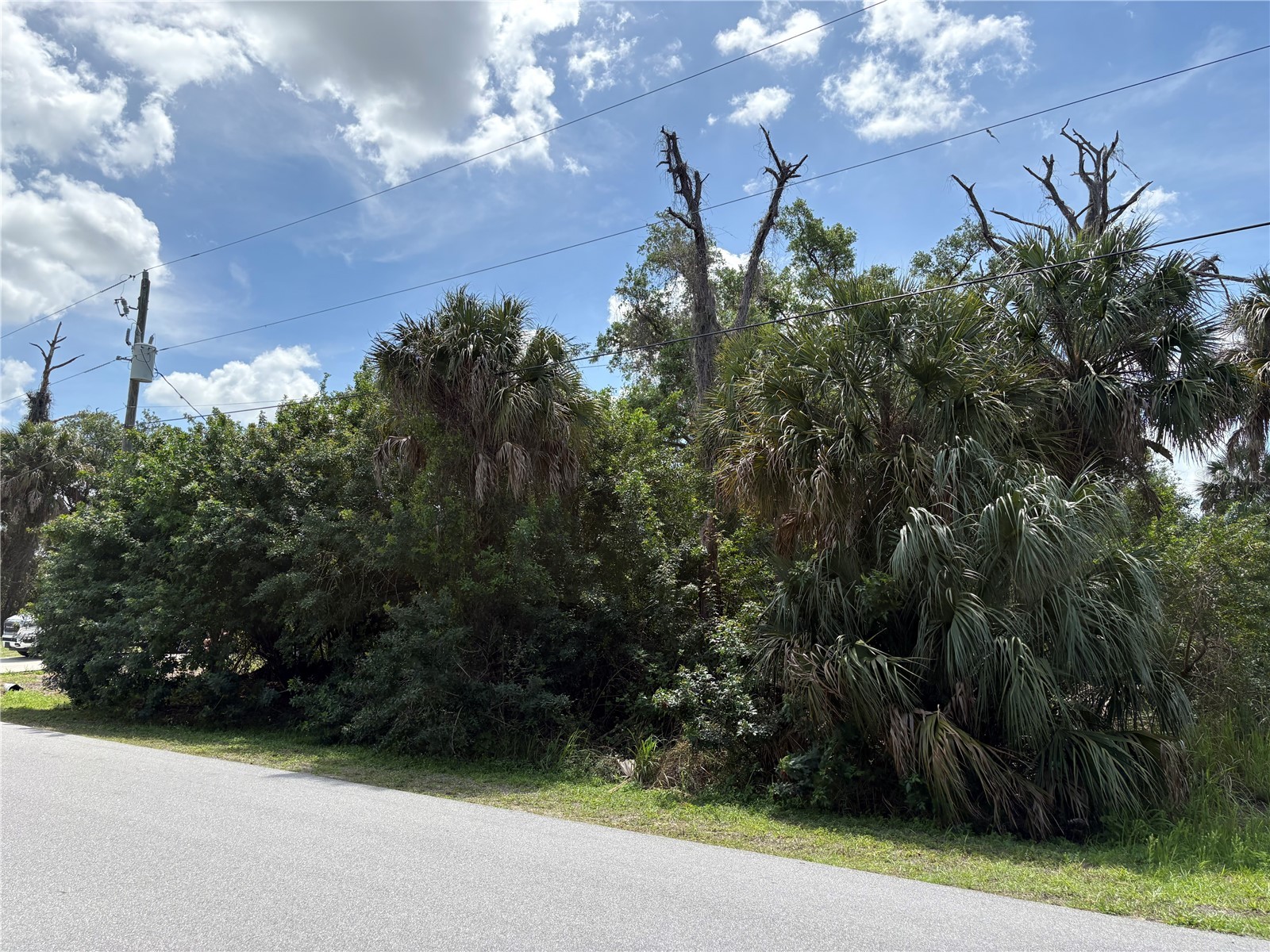 Tucson Road North Port FL 34286 N6143684 image5