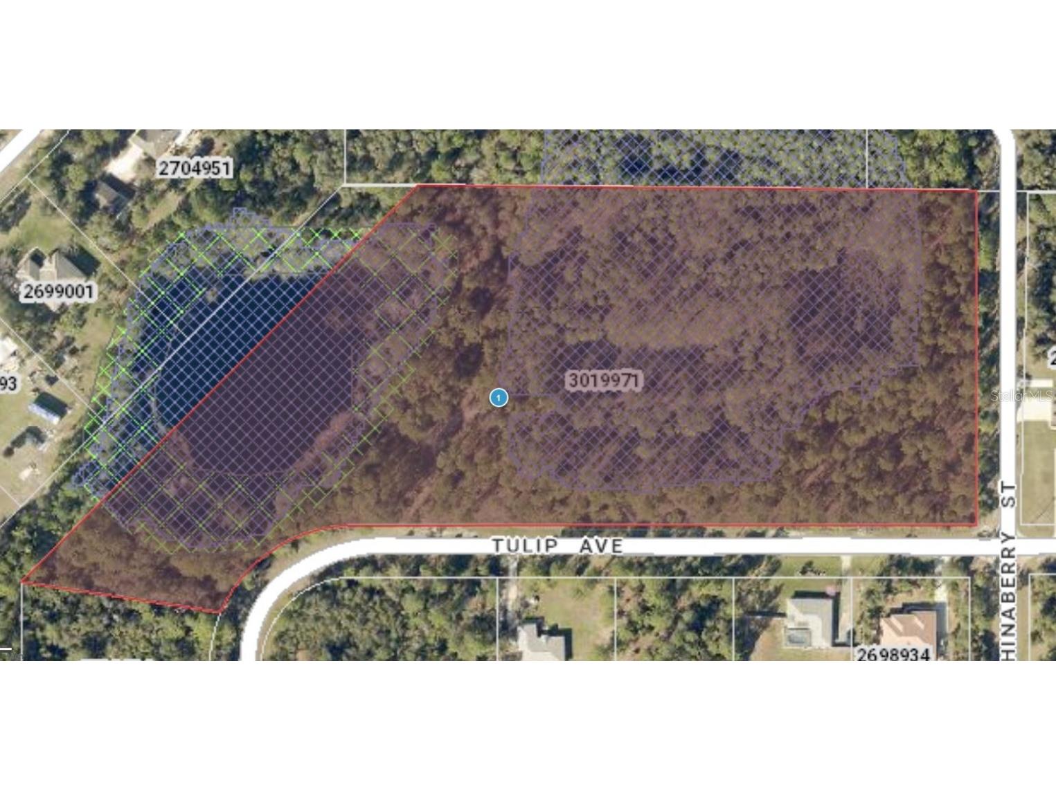 Tulip Avenue Eustis FL 32736 G5064717 image1