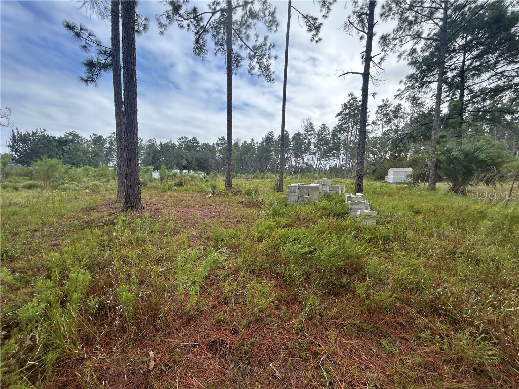 Tulip Avenue Eustis FL 32736 G5103000 image1