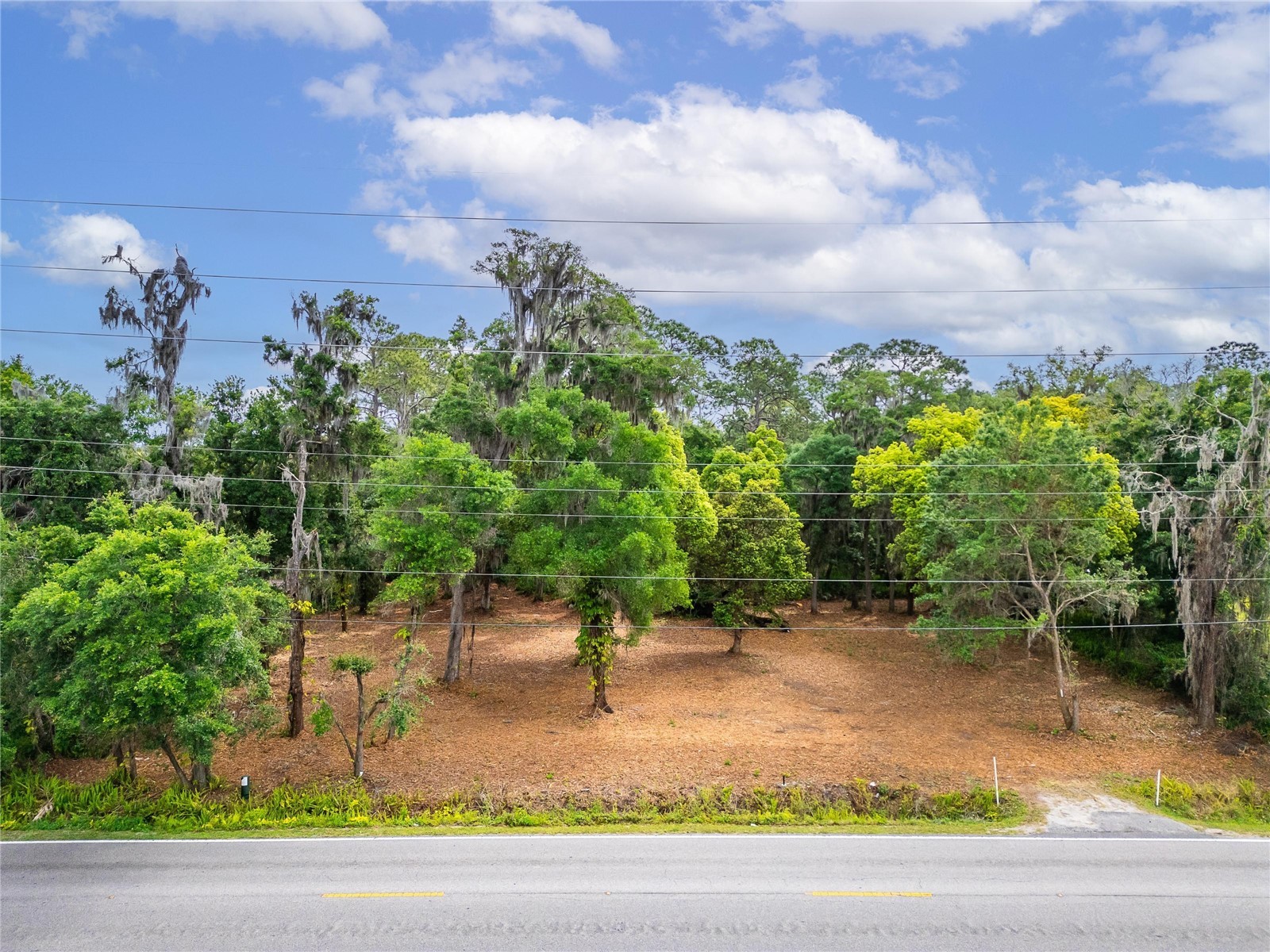 Turkey Creek Plant City FL 33566 TB8426706 image1