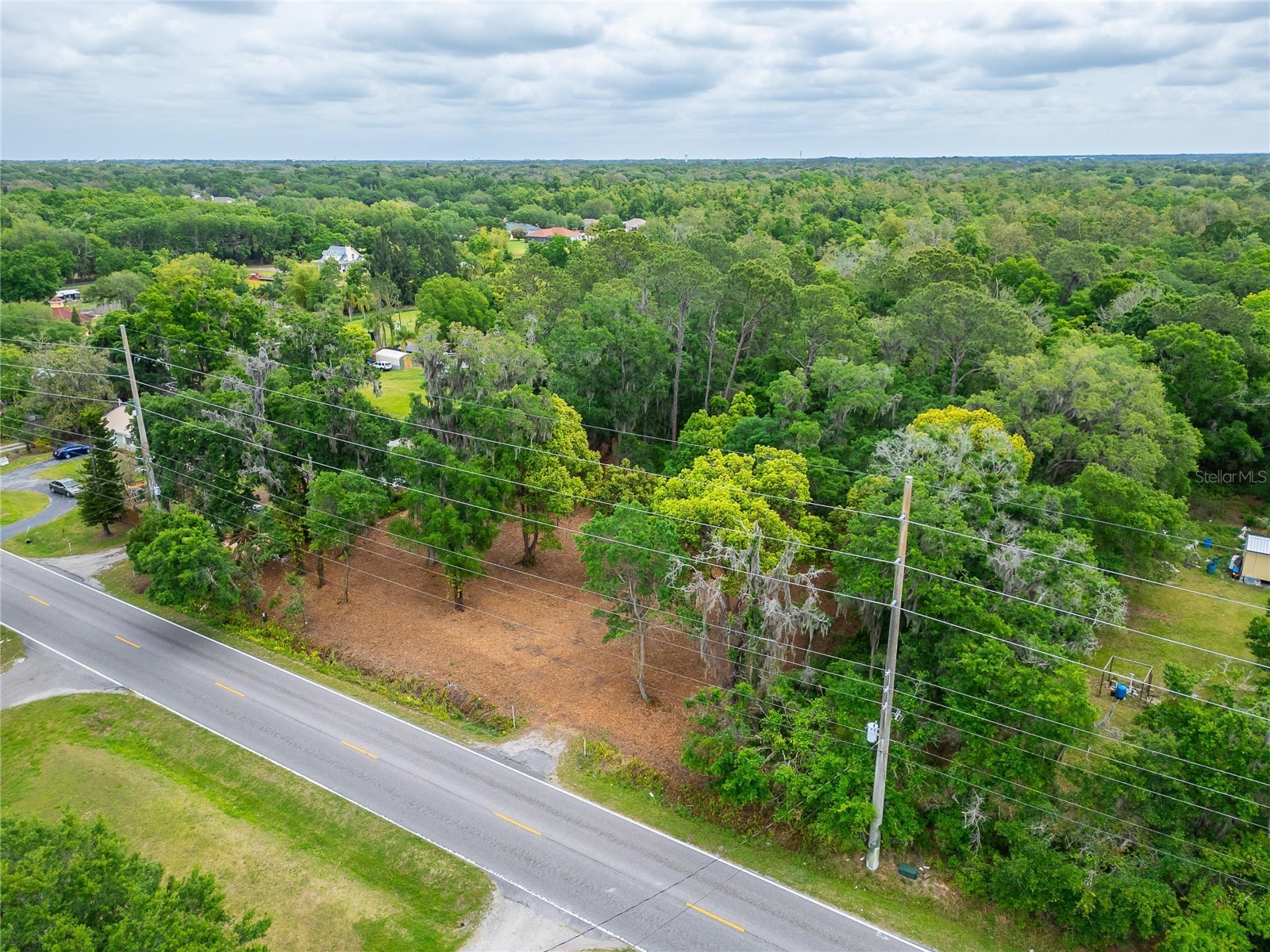 Turkey Creek Plant City FL 33566 TB8426706 image10
