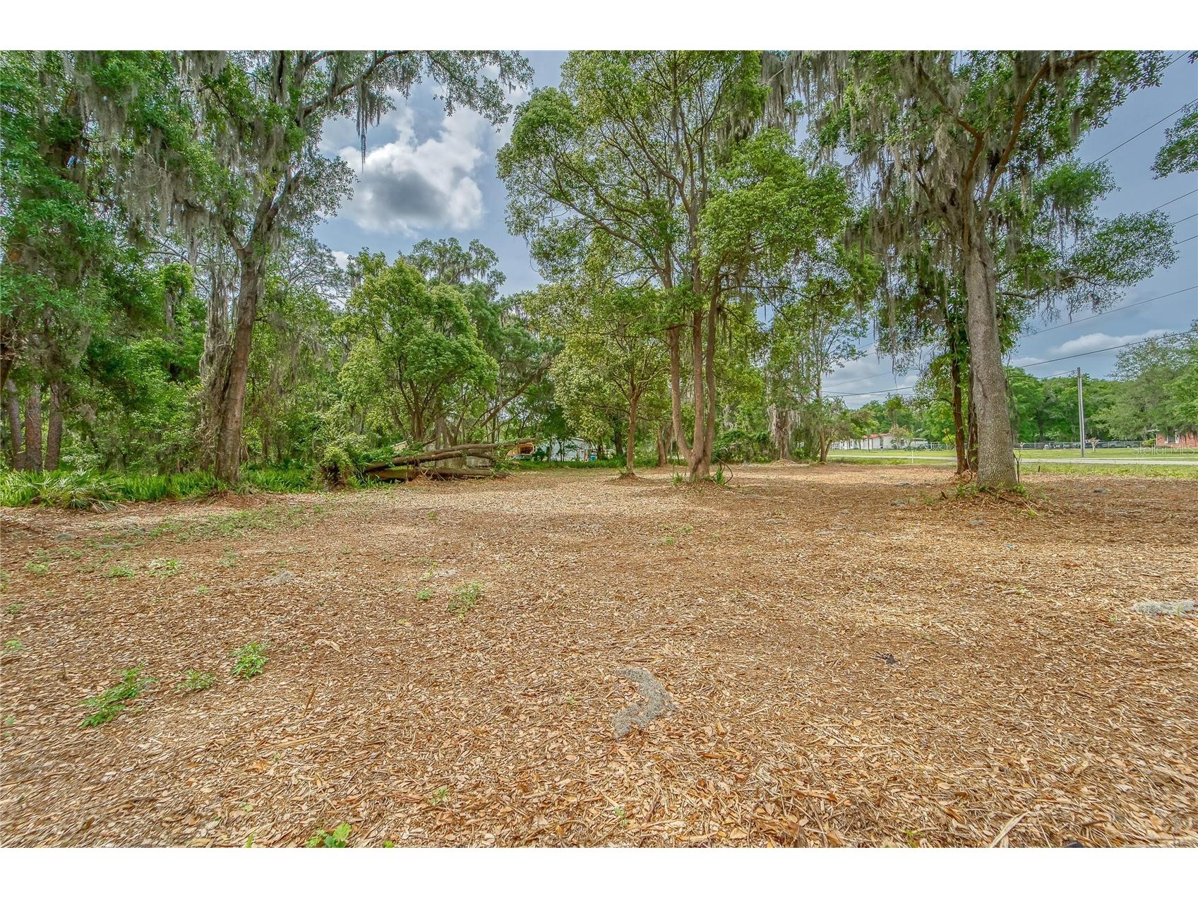 Turkey Creek Plant City FL 33566 TB8426706 image12