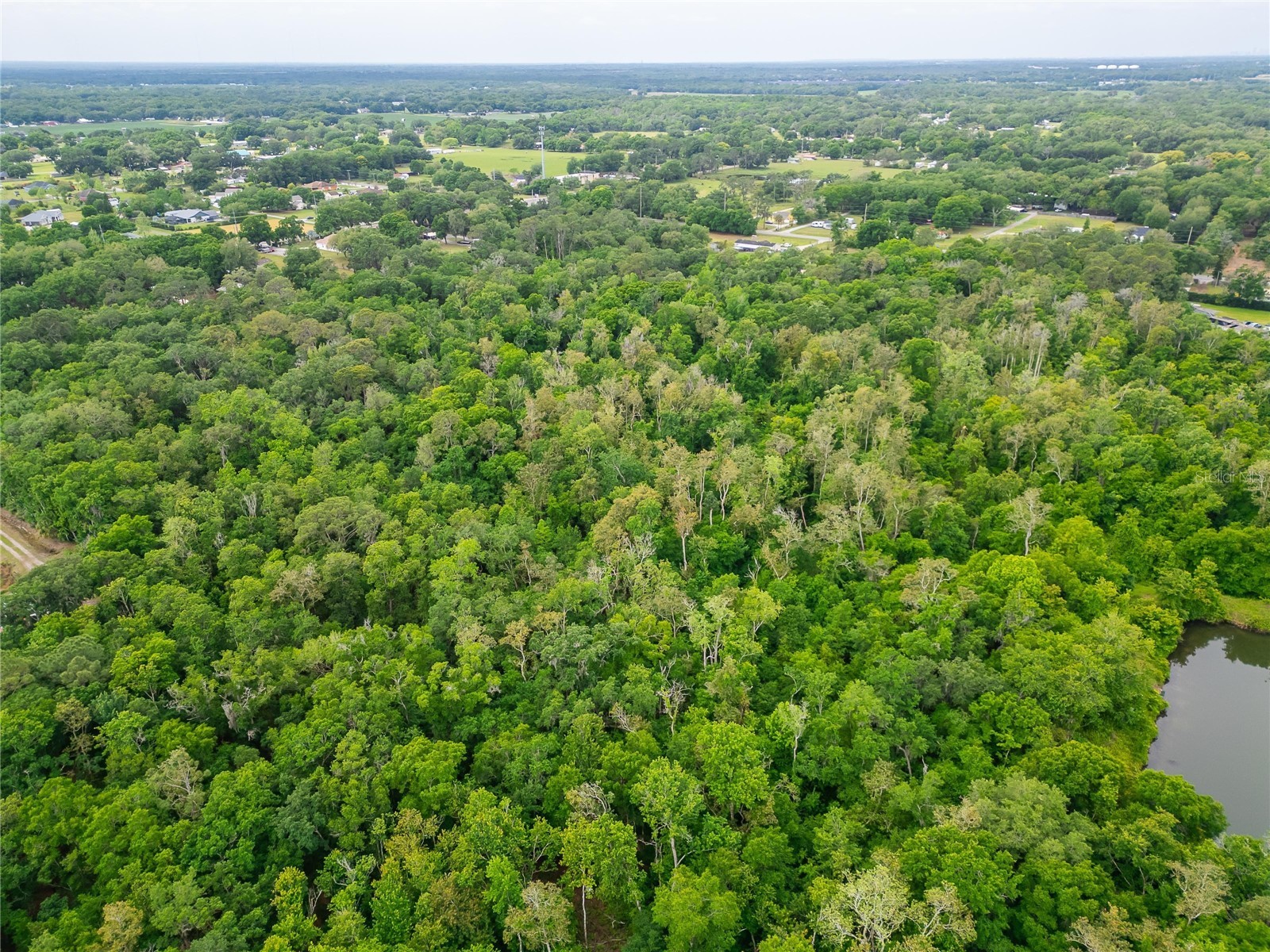 Turkey Creek Plant City FL 33566 TB8426706 image19
