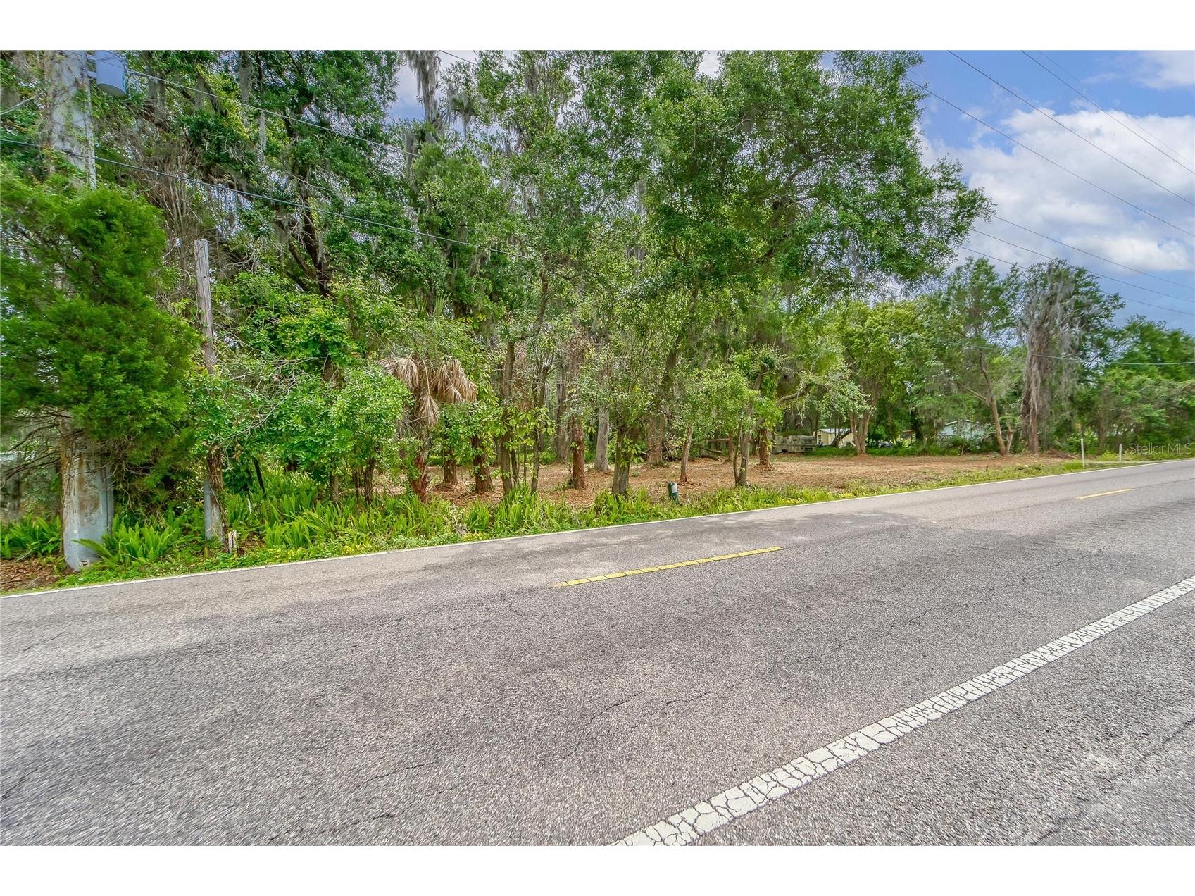 Turkey Creek Plant City FL 33566 TB8426706 image23