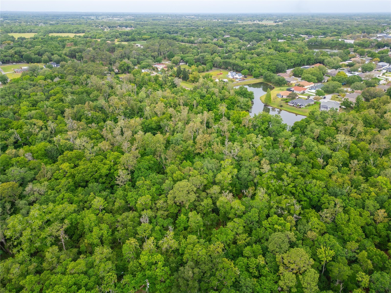 Turkey Creek Plant City FL 33566 TB8426706 image30