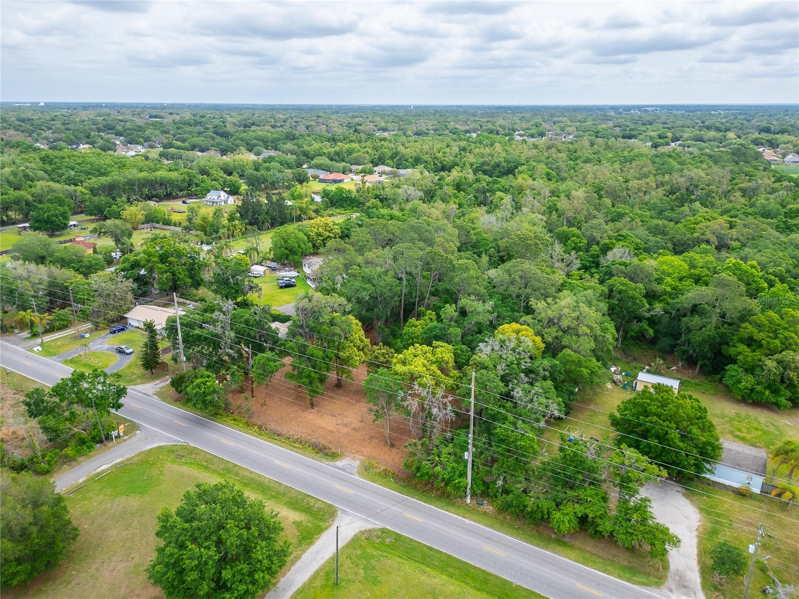 Turkey Creek Plant City FL 33566 TB8426706 image35