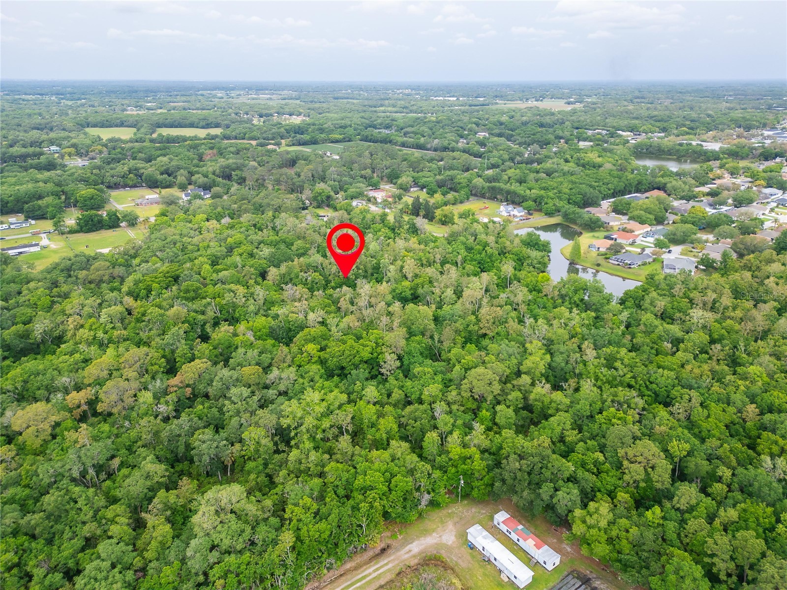 Turkey Creek Plant City FL 33566 TB8426706 image36