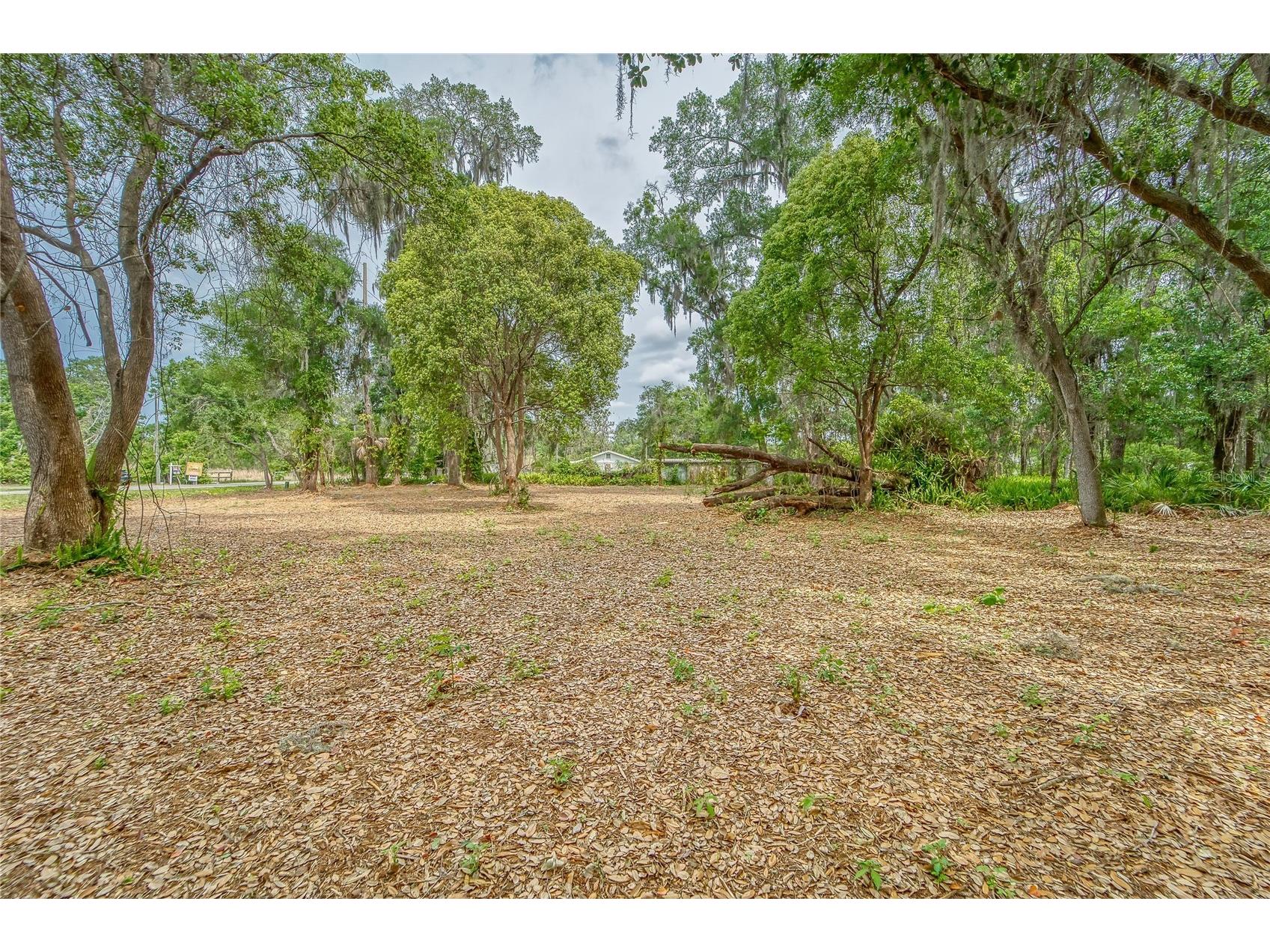 Turkey Creek Plant City FL 33566 TB8426706 image8