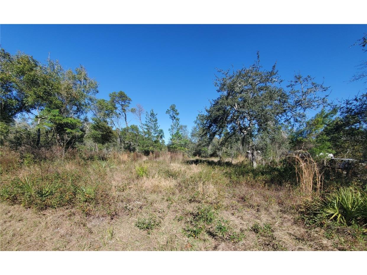 Turkey Road Altoona FL 32702 G5076780 image1